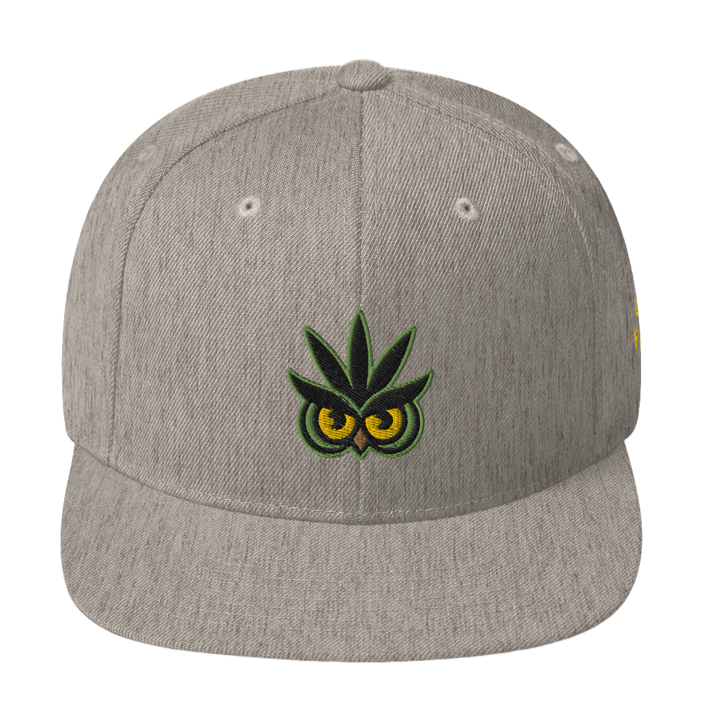 
                  
                    Load image into Gallery viewer, Daddy Fat Paks - Owl Together Now Hat
                  
                